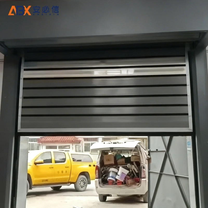 阿里地区金属高速门
